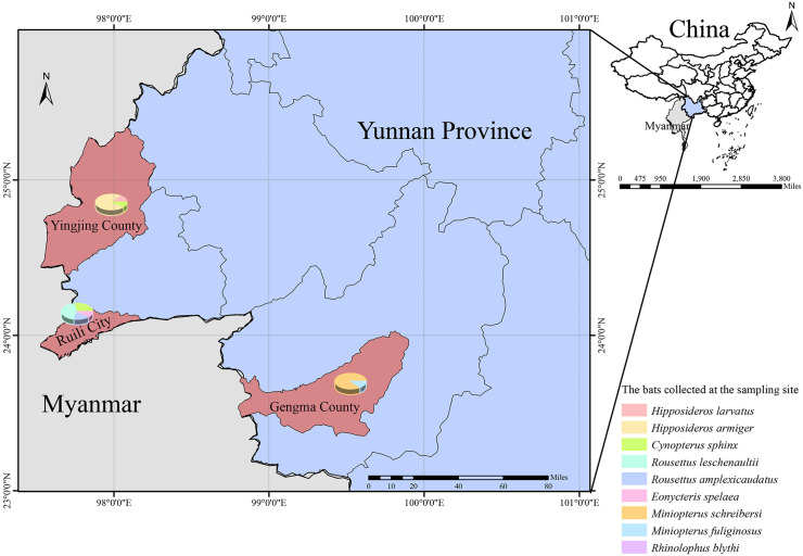 Fig 4