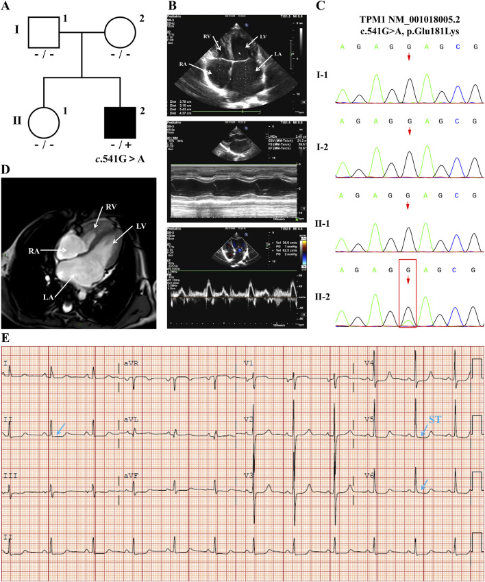 FIGURE 1