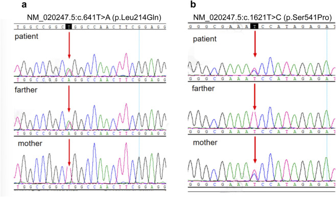 FIGURE 5