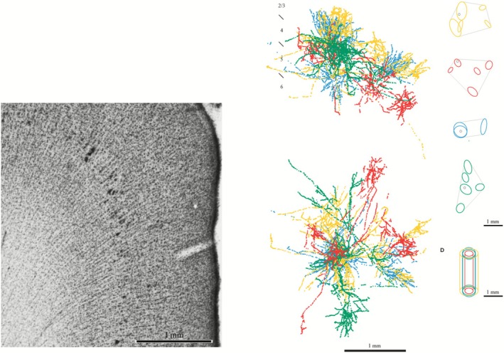 FIGURE 3