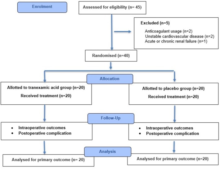 FIGURE 1