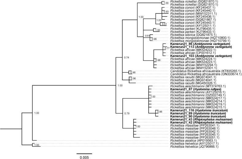 Figure 2