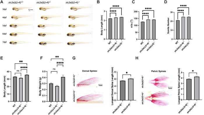 Figure 3