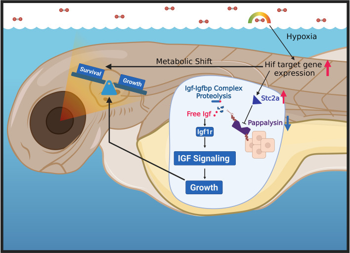 Figure 6