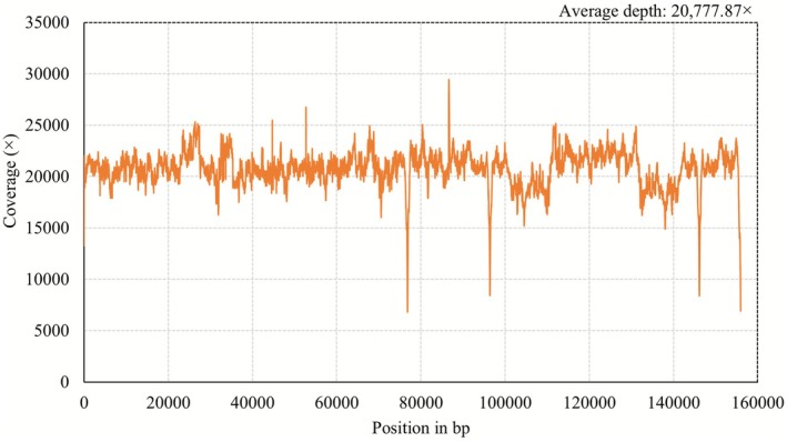 FIGURE 3