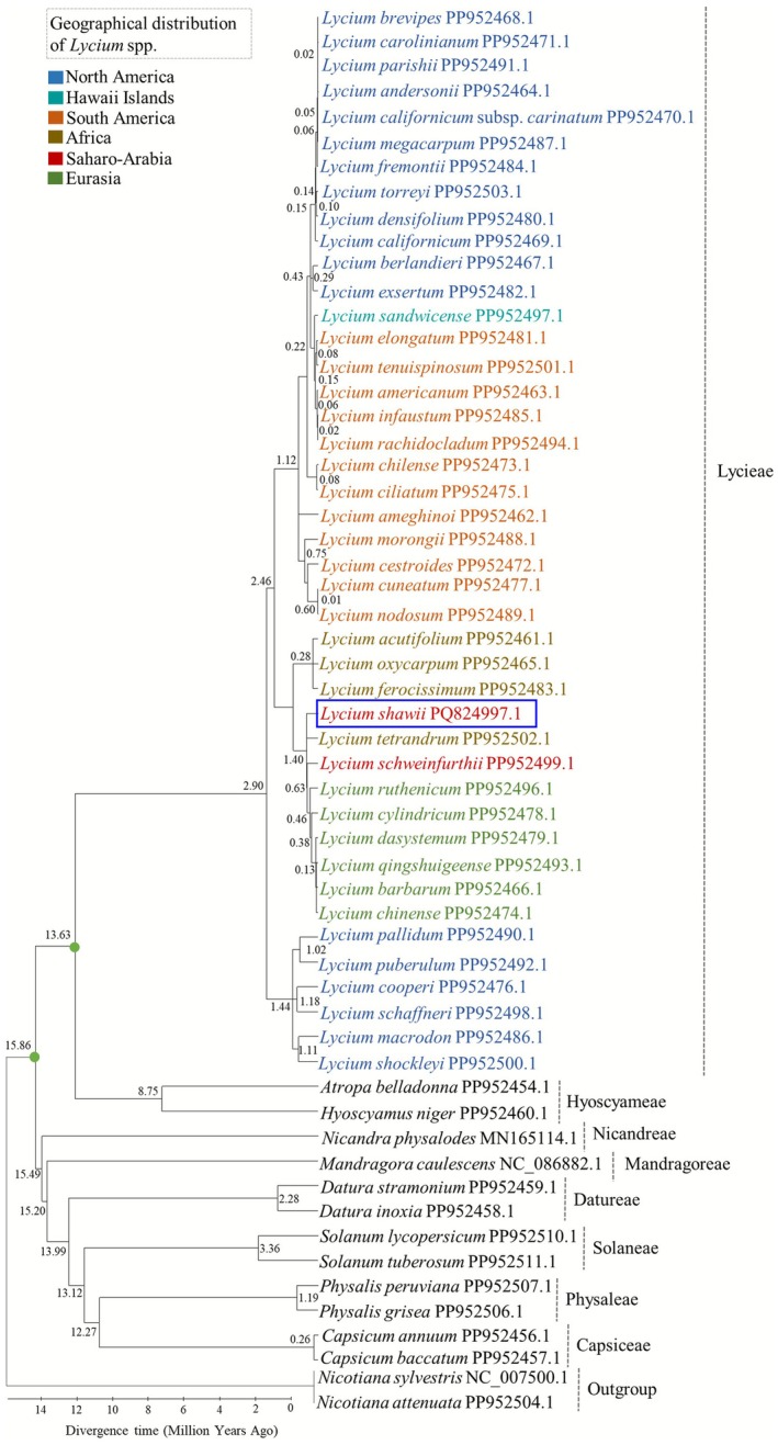 FIGURE 11