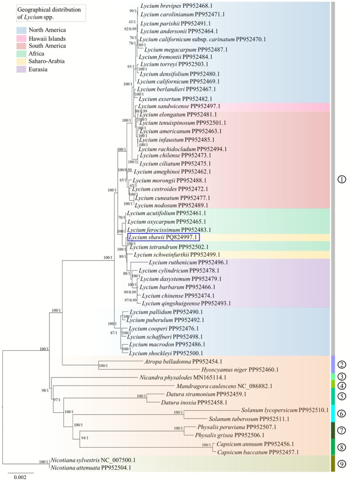 FIGURE 10