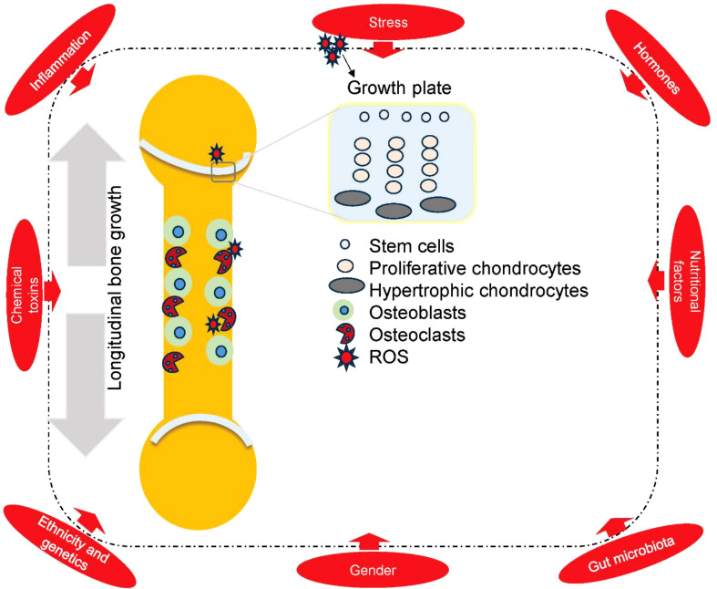 Figure 3