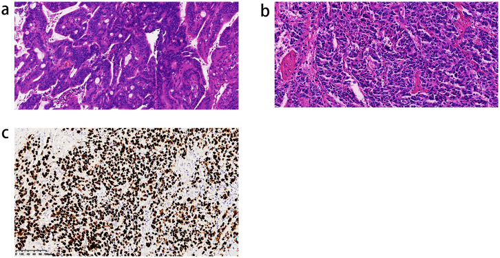 Figure 1