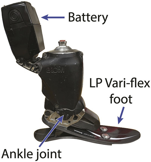FIGURE 1
