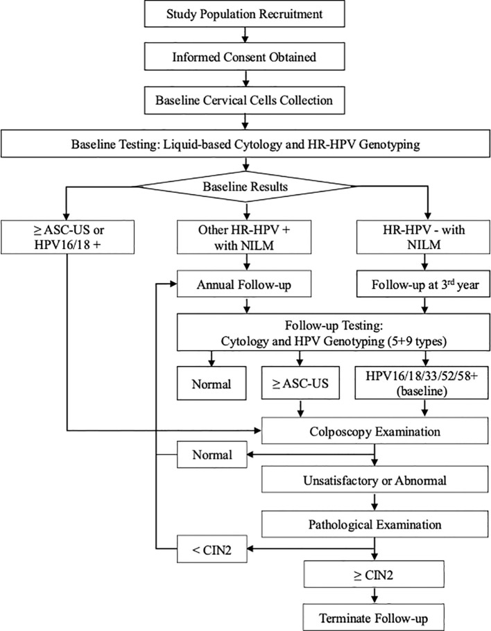 Figure 1