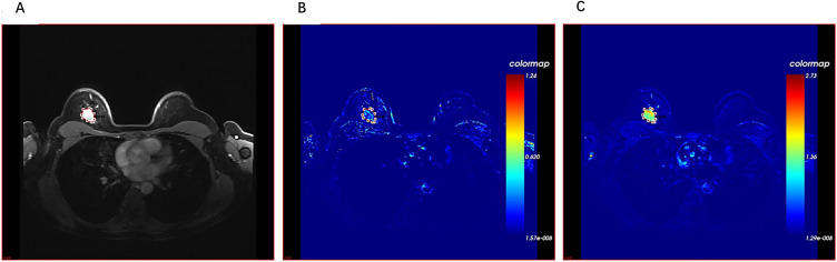 Figure 1
