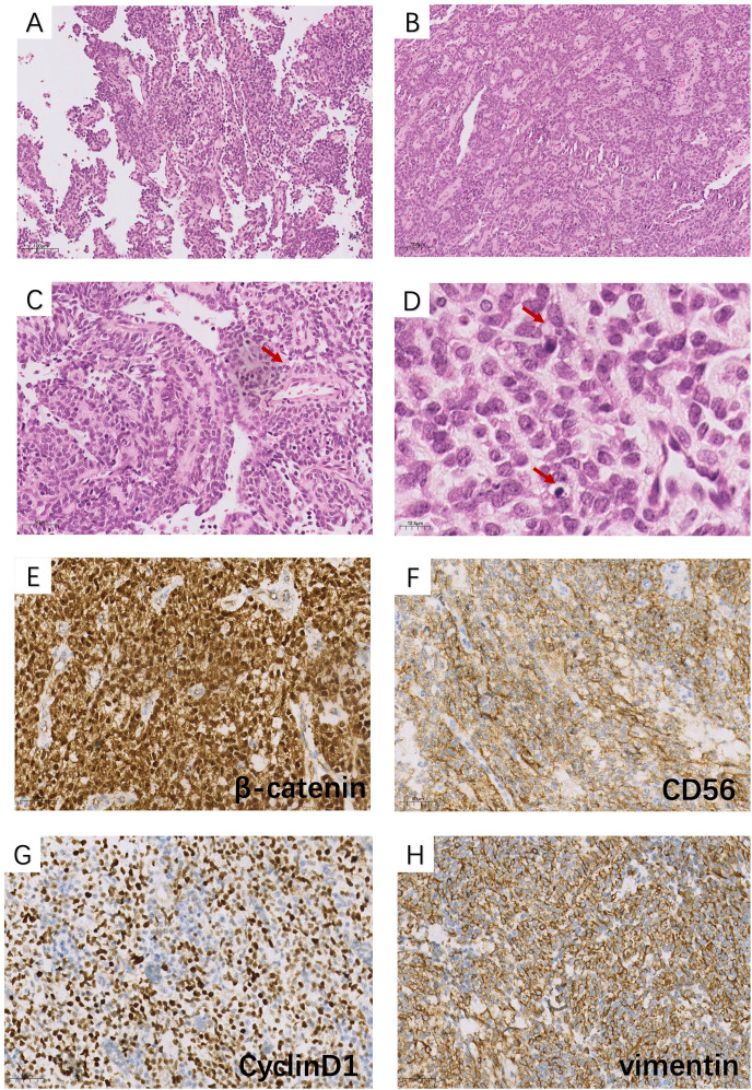 Figure 2