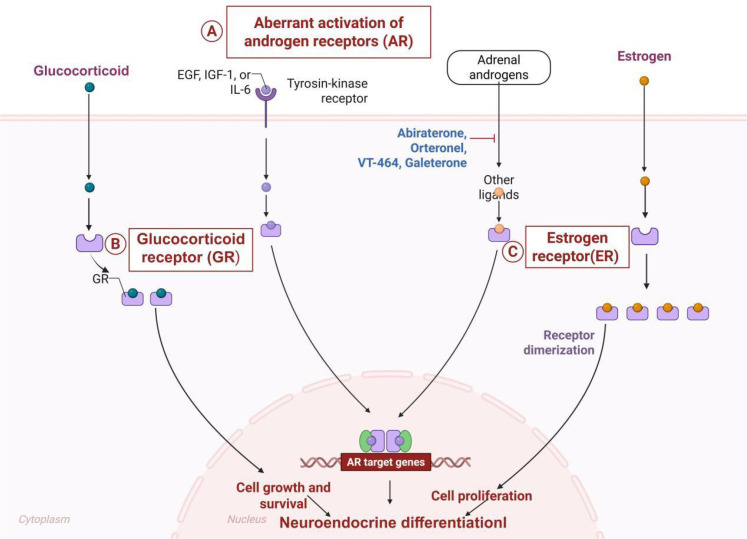 Figure 2