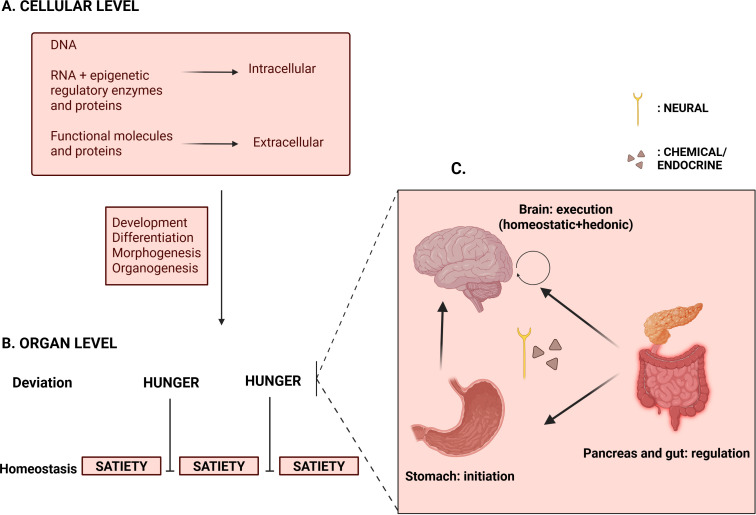 Figure 1
