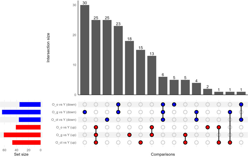 Figure 5