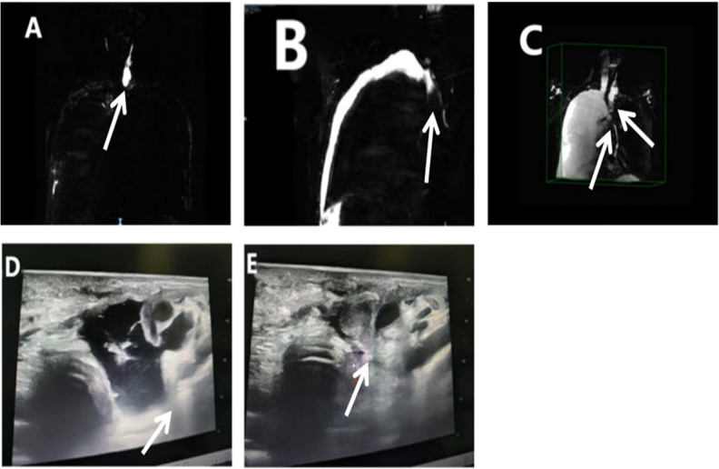 Figure 3