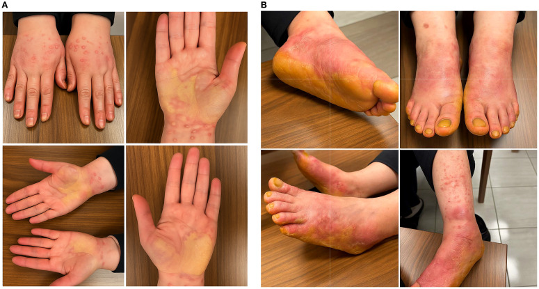 Figure 1