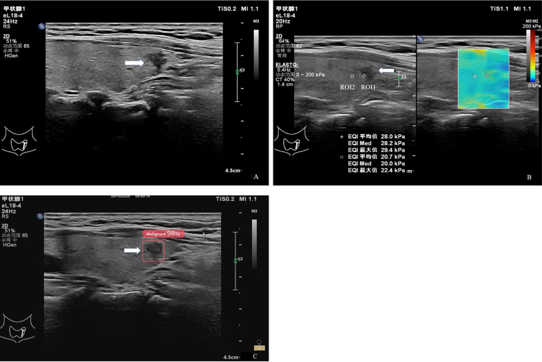 Figure 2