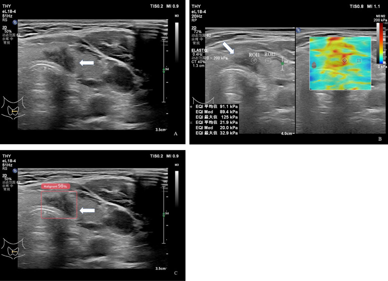 Figure 3