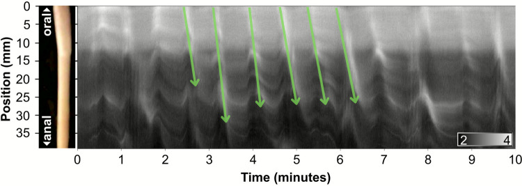 Figure 7