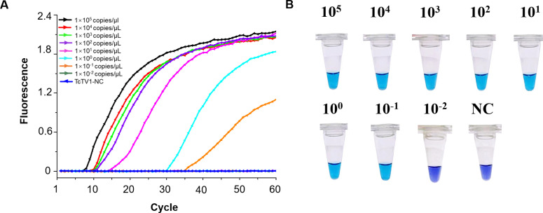 Figure 3