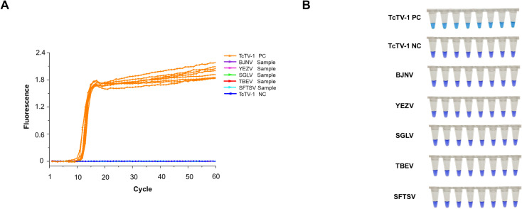 Figure 4