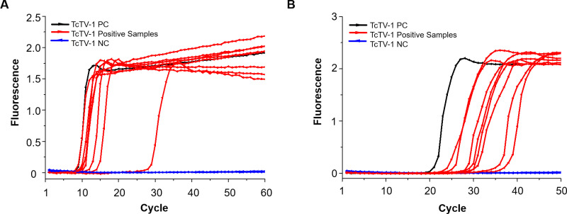 Figure 5