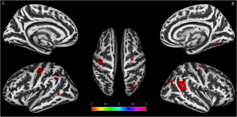 Figure 2