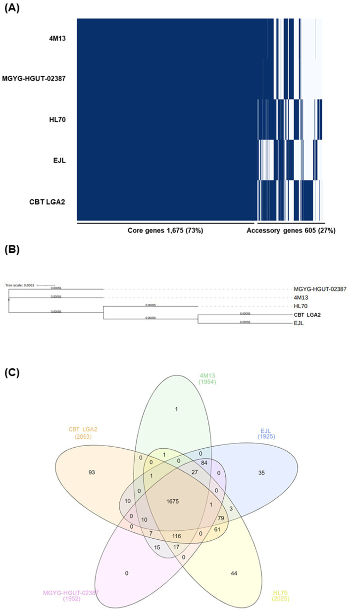 Figure 5