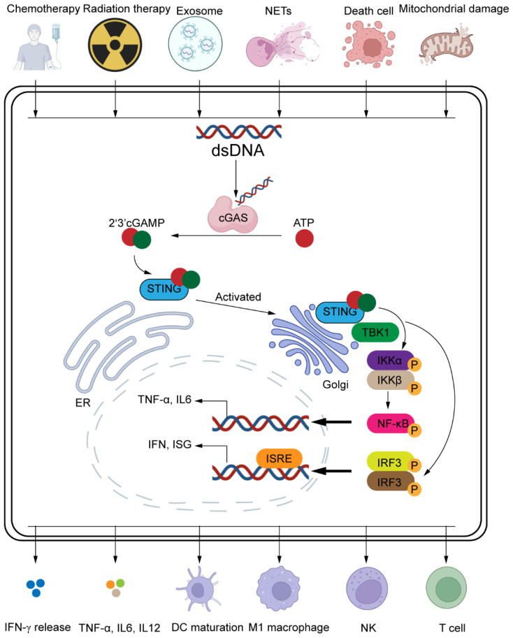 Figure 2