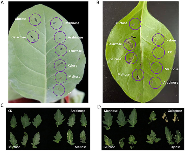 Figure 7
