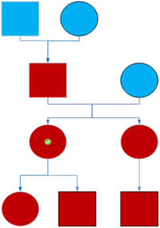 Figure 1