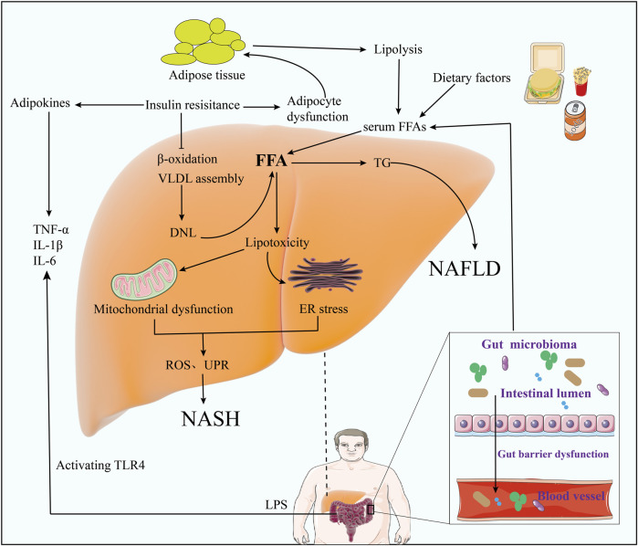 FIGURE 2