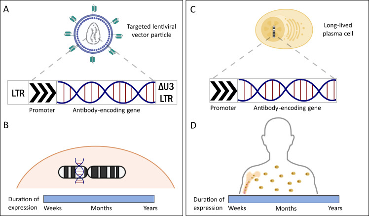 Figure 4
