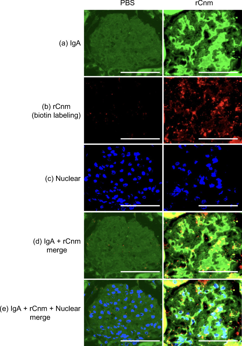 Figure 6