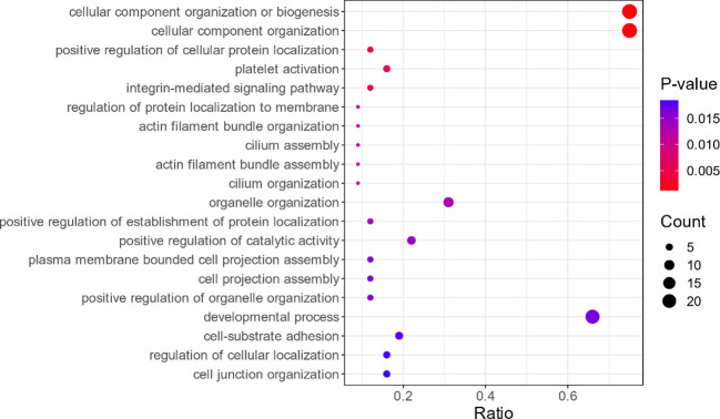 Figure 4