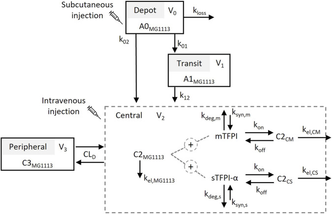 FIGURE 1