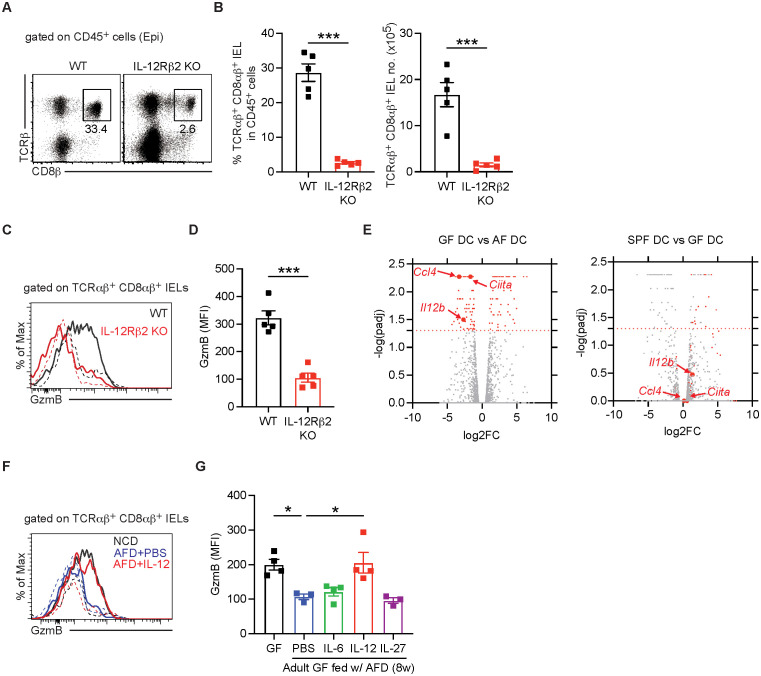 Figure 5
