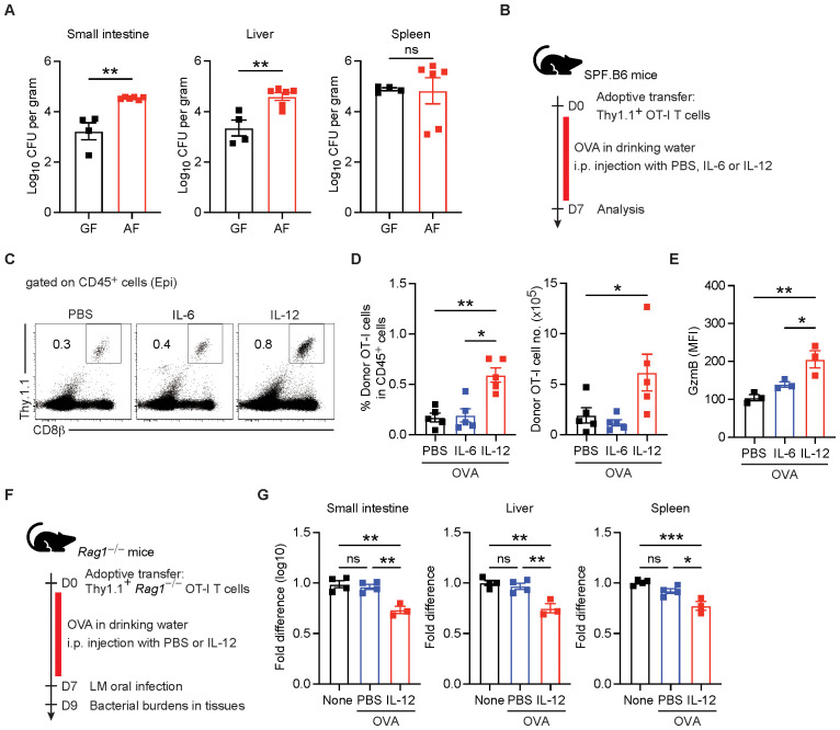 Figure 6