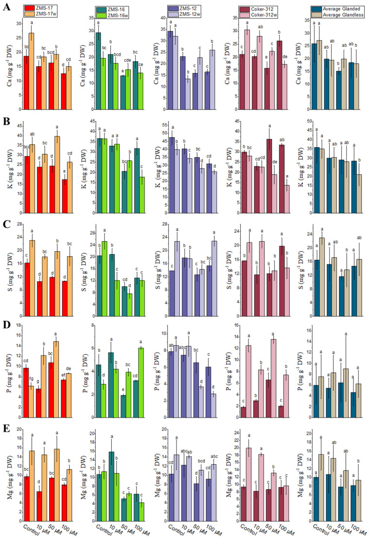 Figure 2