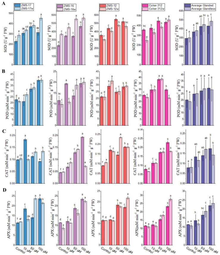 Figure 6