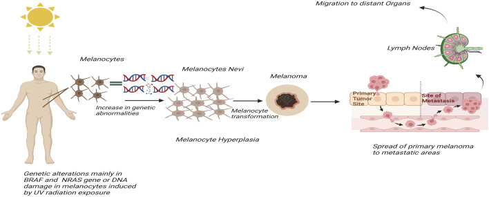 FIGURE 1