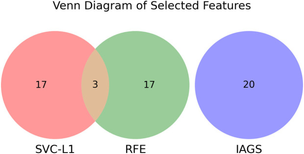 FIGURE 3