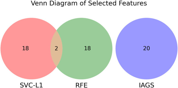 FIGURE 4