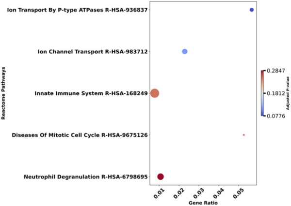 FIGURE 7