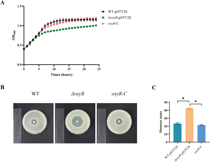 Figure 2