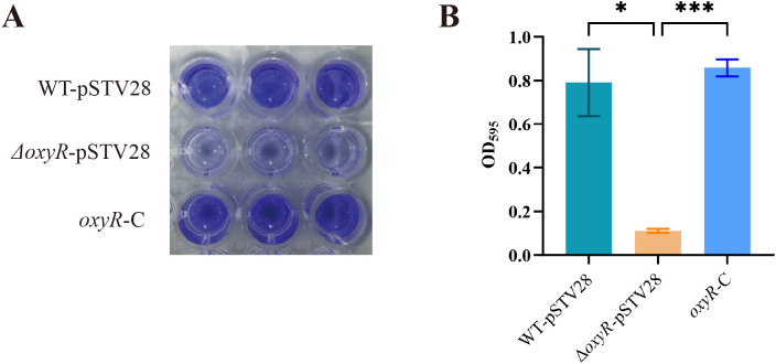 Figure 4