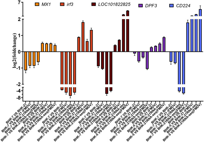 Figure 11