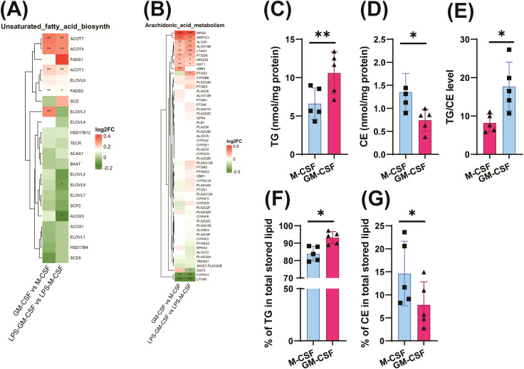 Figure 4